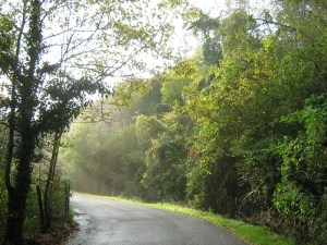 Verso la Crosetta.Ottobre 2013